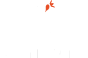 Swan Hotel